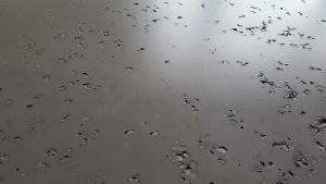 Loft Concrete Semi Mat panel dekoracyjny